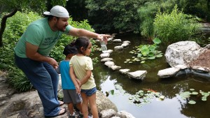 Pointing out the fishies