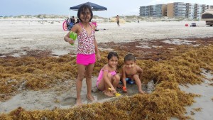 The little ones