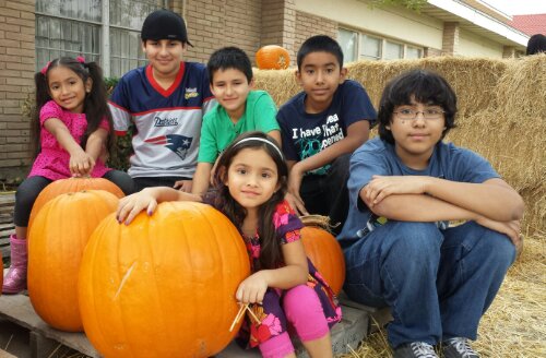 wpid-20131020_164928-1.jpg