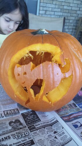 wpid-20131102_114314.jpg