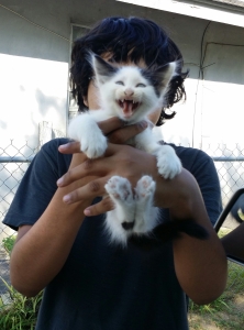 Screechy kitty and Eenan