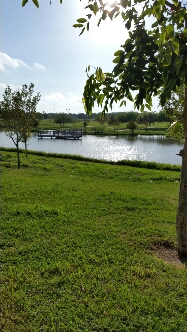 20150907_085708.jpg image