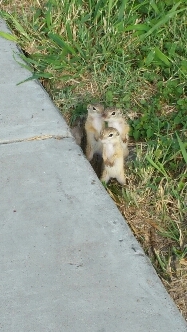 20150907_091106.jpg image