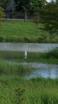 20150907_093634.jpg image