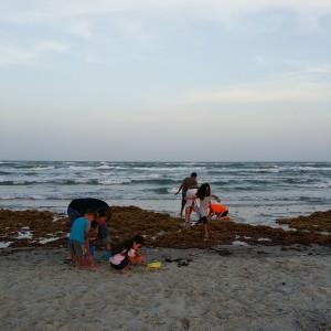 wpid-img_20140717_200328.jpg
