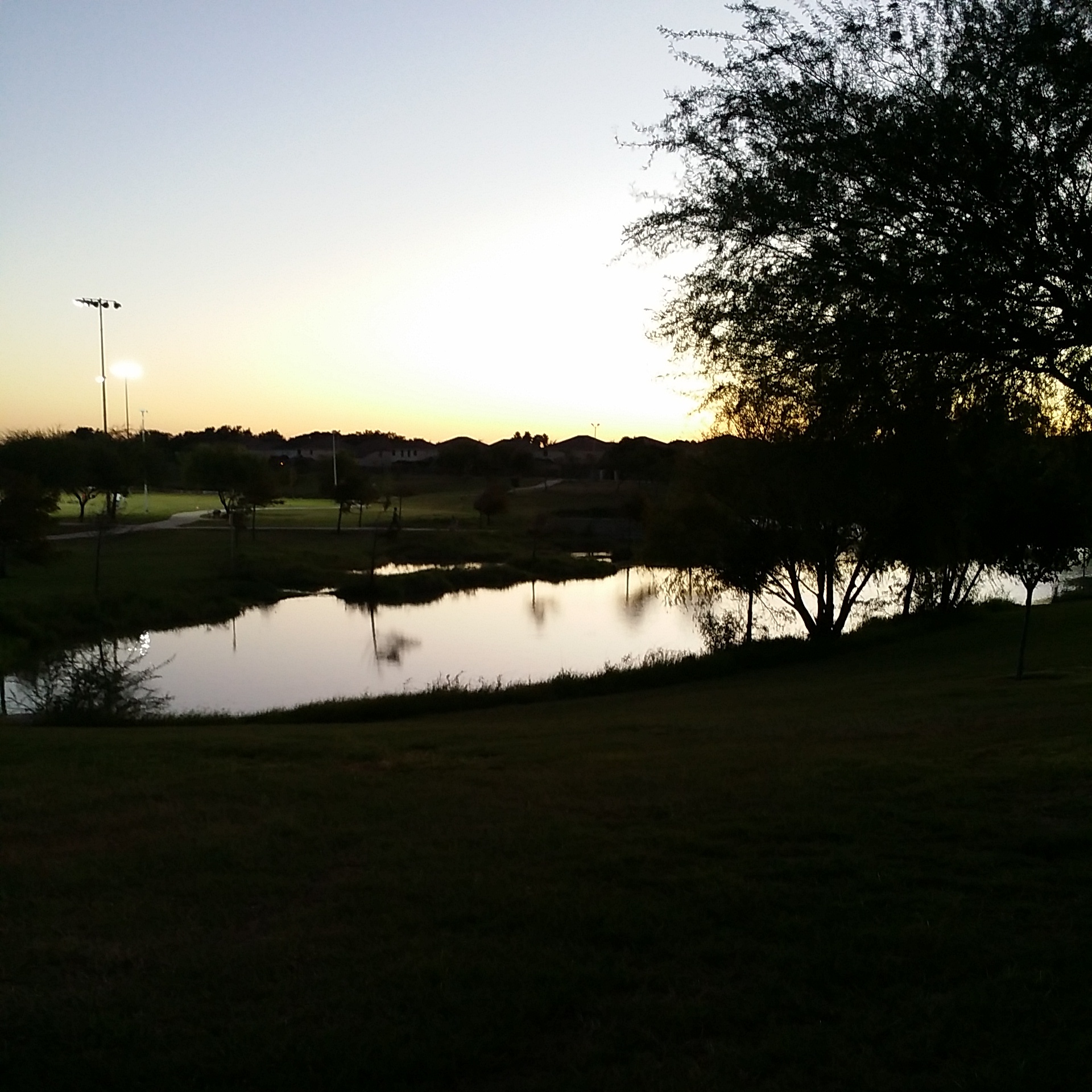 wpid-img_20141016_191915.jpg image