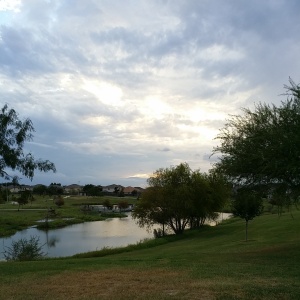 Beautiful view