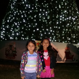 Lighting of the tree!