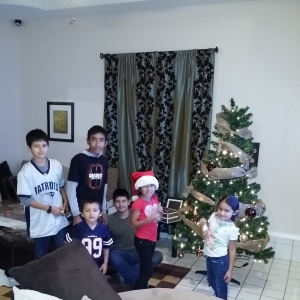 Decorating the tree!