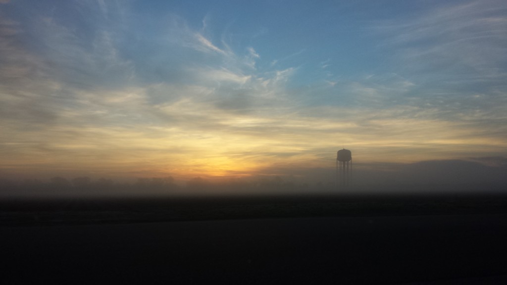 Fog in the field