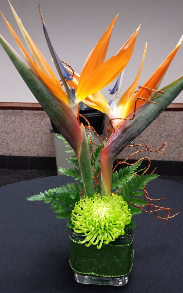 Birds of Paradise with Mum (I think?)