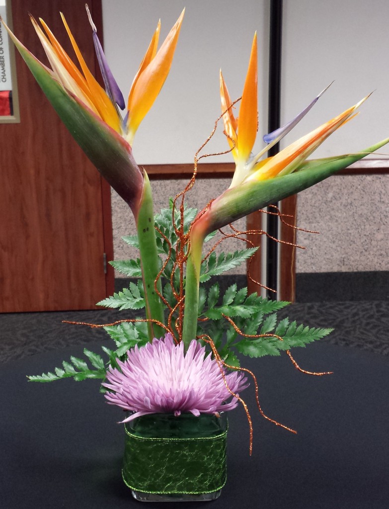 Birds of Paradise with Spider Mum