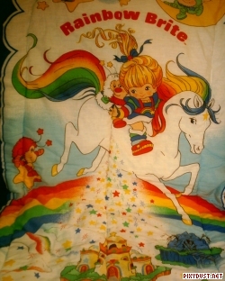 Sleeping Bag