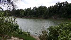 Near the Rio Grande River