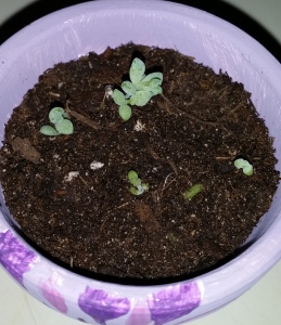 In their new home!