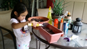 Emily helping me re-pot succulents from Dina's house :)
