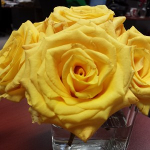 Yellow roses. They almost look fake!
