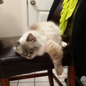 Mabby!